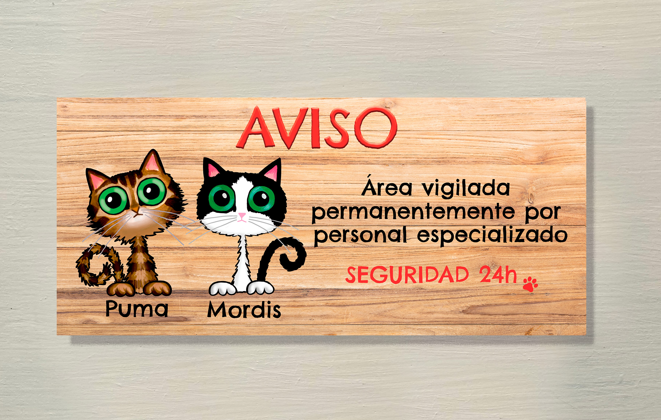 Imagen de Botemania App